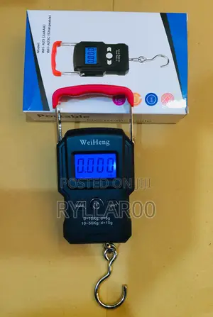 Mobile Luggage Scale 50kg