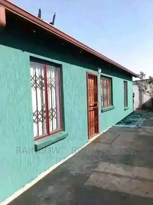 Rainbow Paint and Graffiato