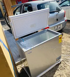 Original Nasco Nas -250fl 200L 1 Door Electric Freezer(Gray)