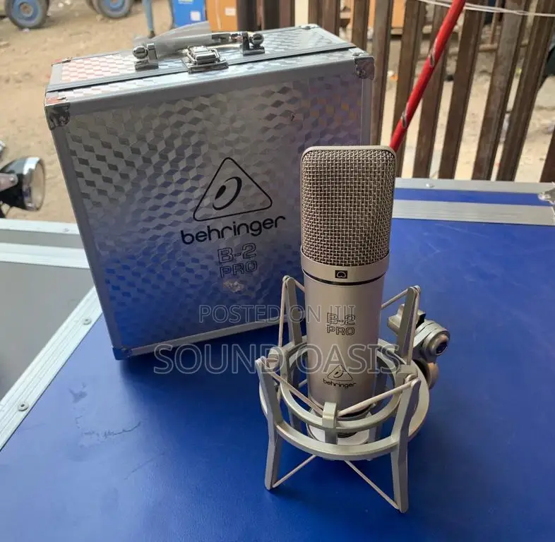 B-2 PRO Large Dual-Diaphragm Studio Condenser Microphone