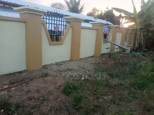 Professional Painters Available