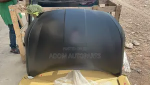 Elantra Bonnet Hood 2019 2020