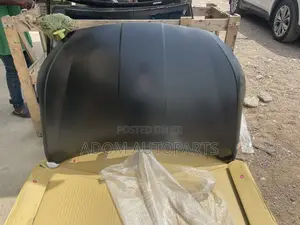 Elantra Bonnet Hood 2019 2020