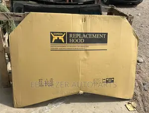 Hyundai Elantra 2019,2020 Bonnet/Hood