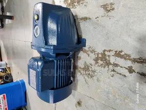 1.0 Hp Leo Electric Pump
