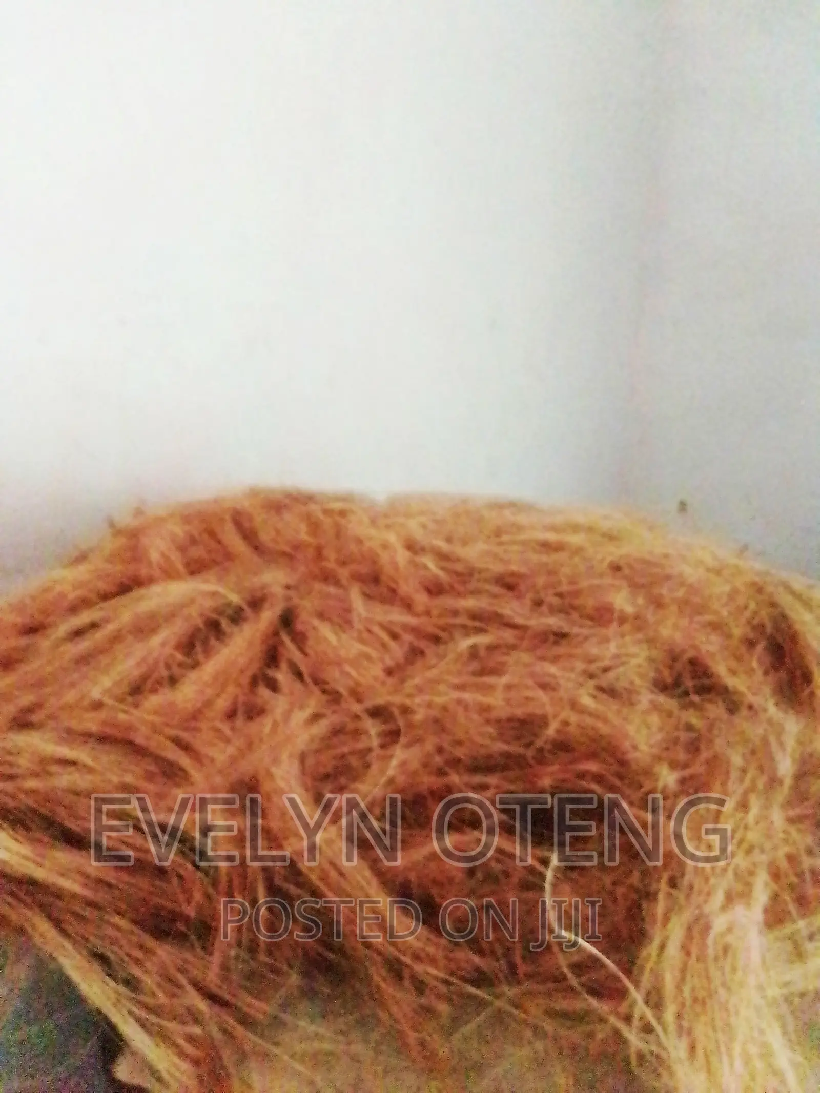 Treated Coconut Fibre