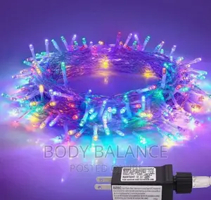 30M Christmas Lights