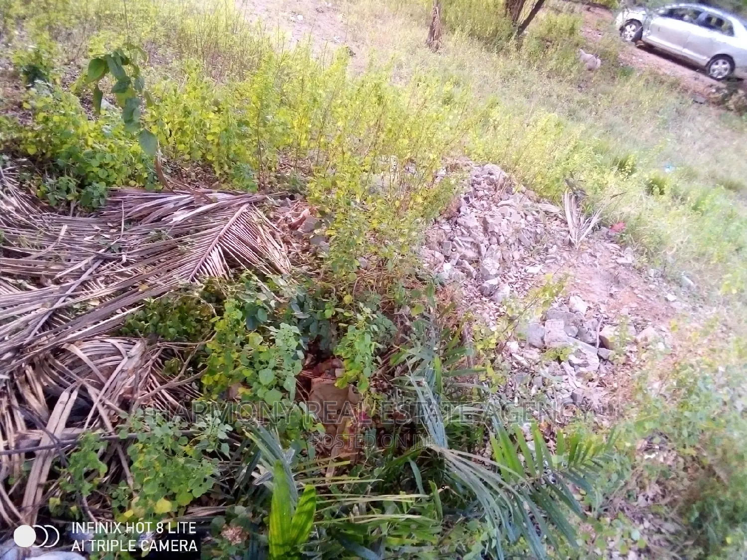 Land for Sale -Tse Addo