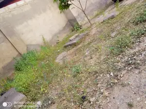 Land for Sale -Tse Addo