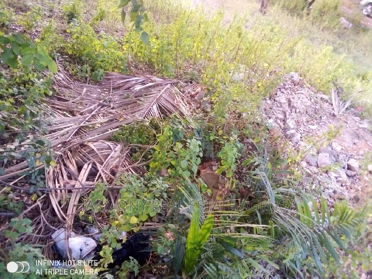 Land for Sale -Tse Addo