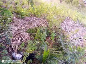 Land for Sale -Tse Addo