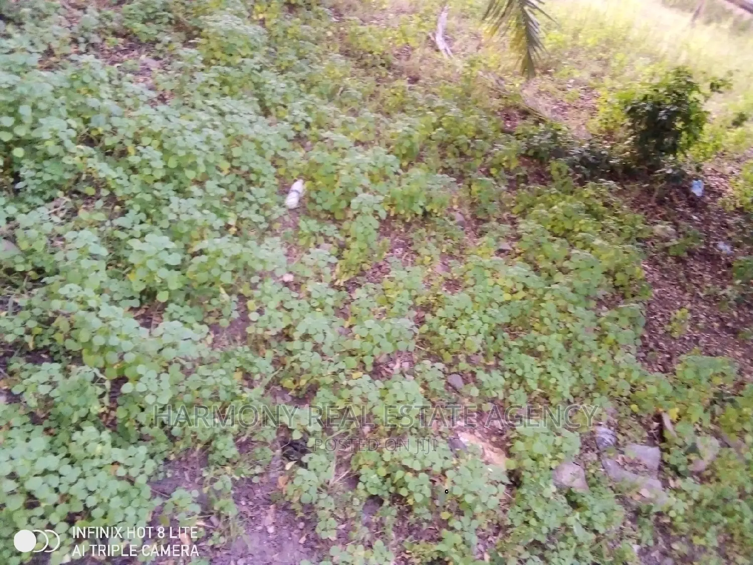 Land for Sale -Tse Addo
