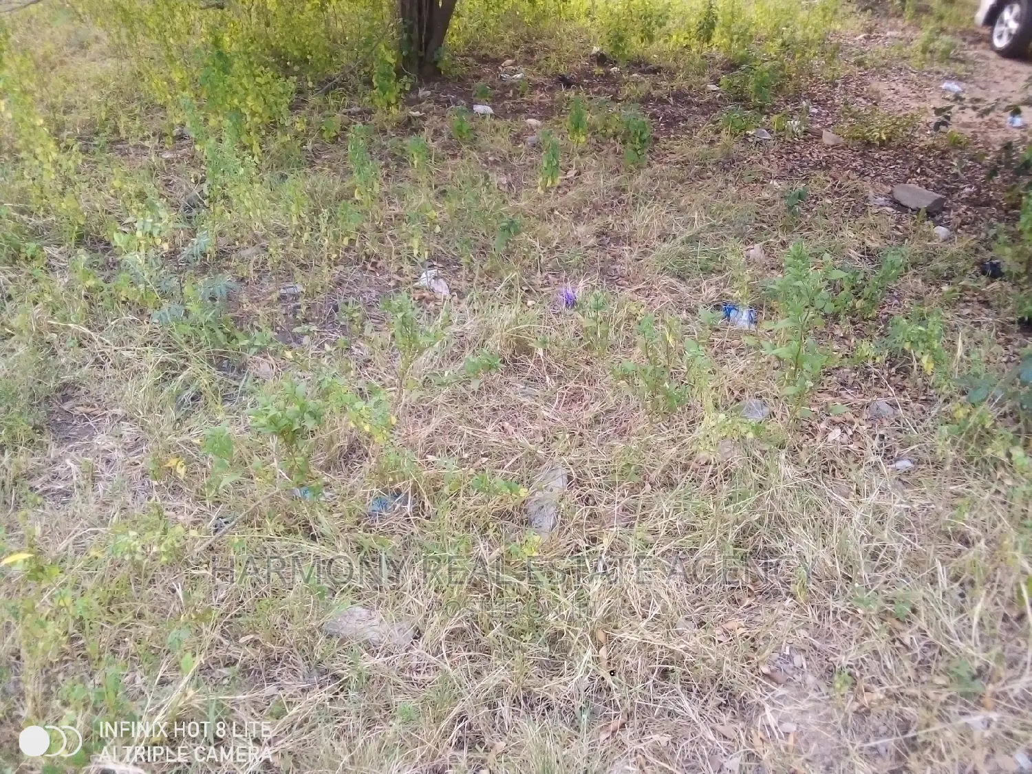 Land for Sale -Tse Addo