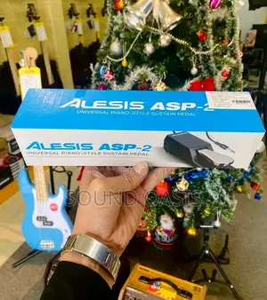 Alesis ASP-2 Universal Piano-Style Sustain Pedal