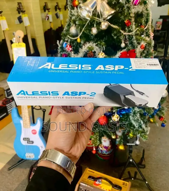 Alesis ASP-2 Universal Piano-Style Sustain Pedal