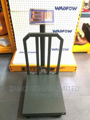 Electronic Scale 300kg - Wec1531