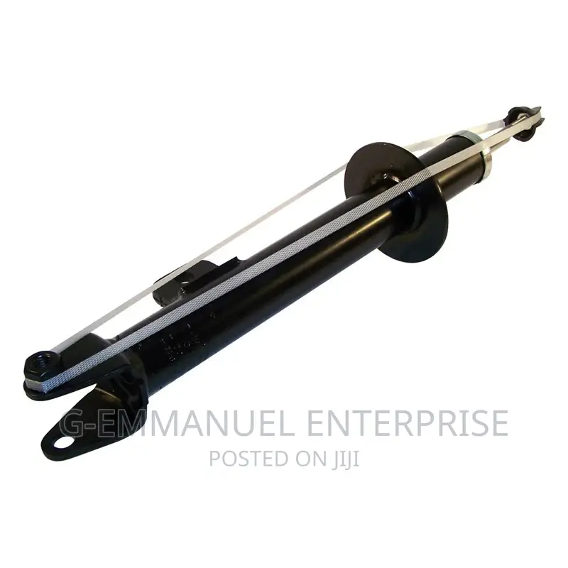 Chrysler 300 2006-09 Front Shock Absorber. Original Parts.