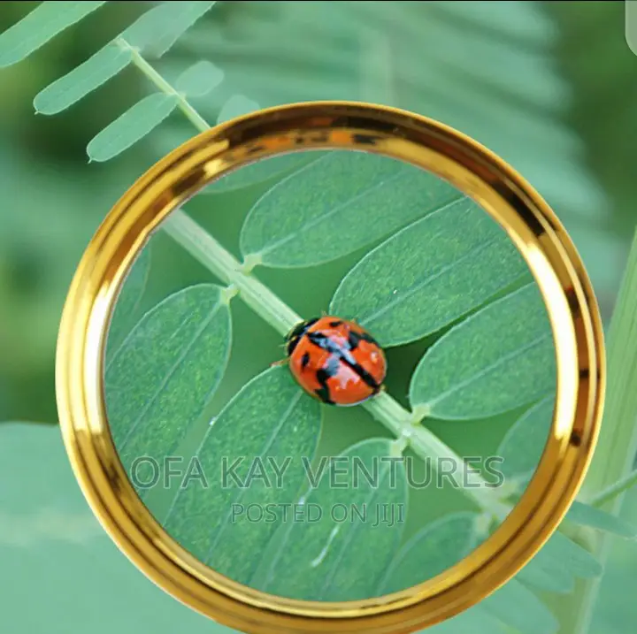 Magnifying Glass 60mm