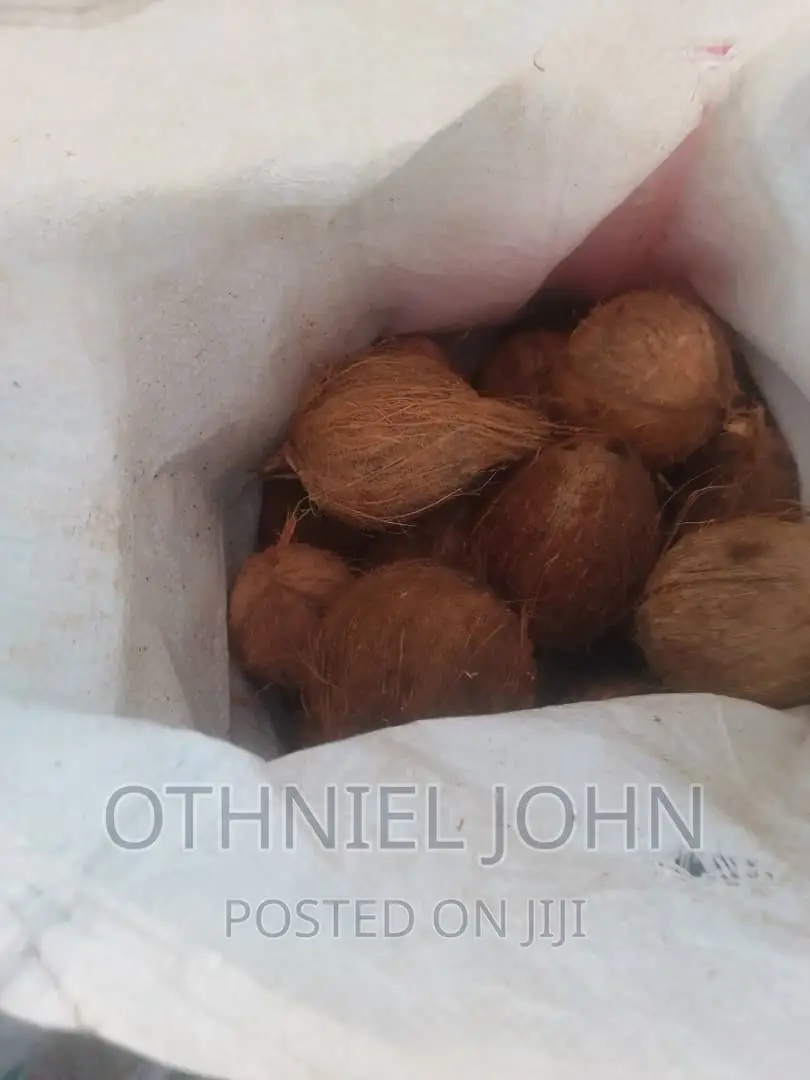 Coconut for Sale in Large Quantity