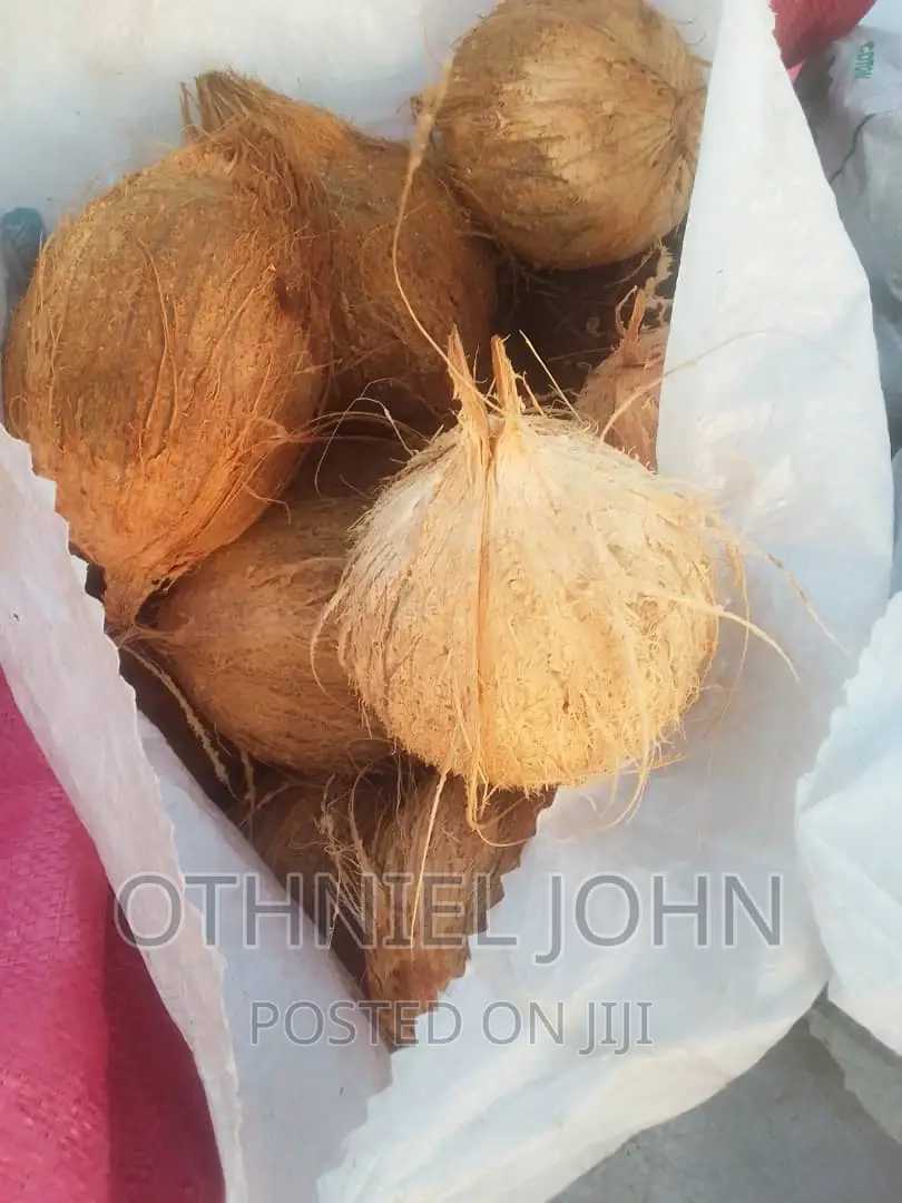 Coconut for Sale in Large Quantity