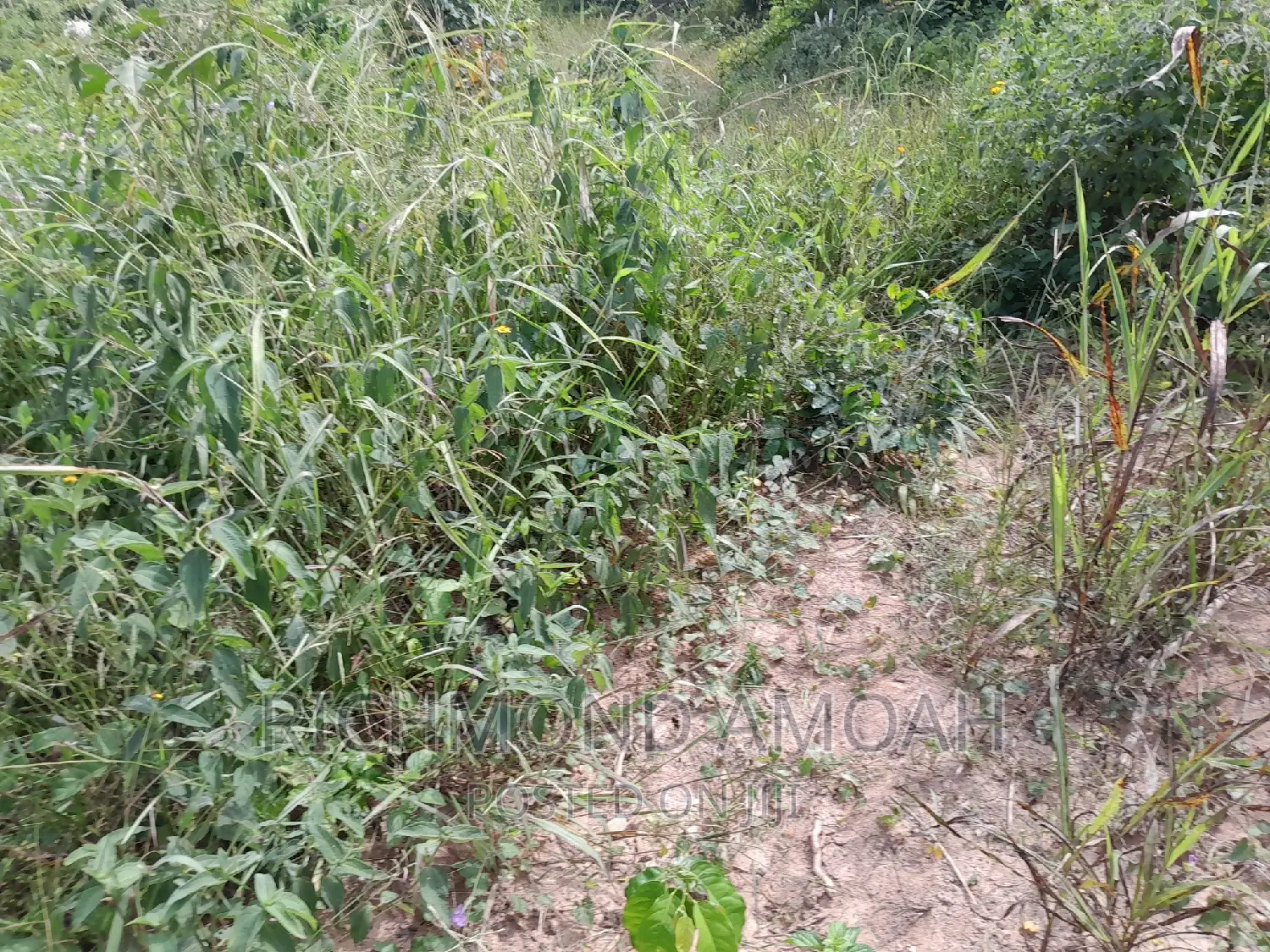 Land for Sale at Mpatado