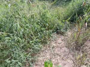 Land for Sale at Mpatado