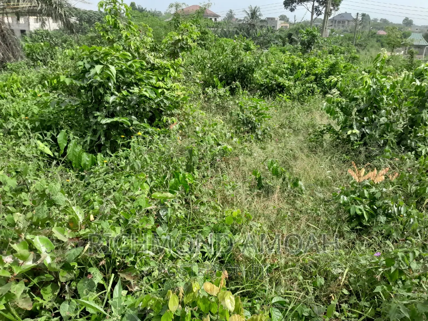 Land for Sale at Mpatado