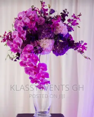 Chairs and Canopy Rental