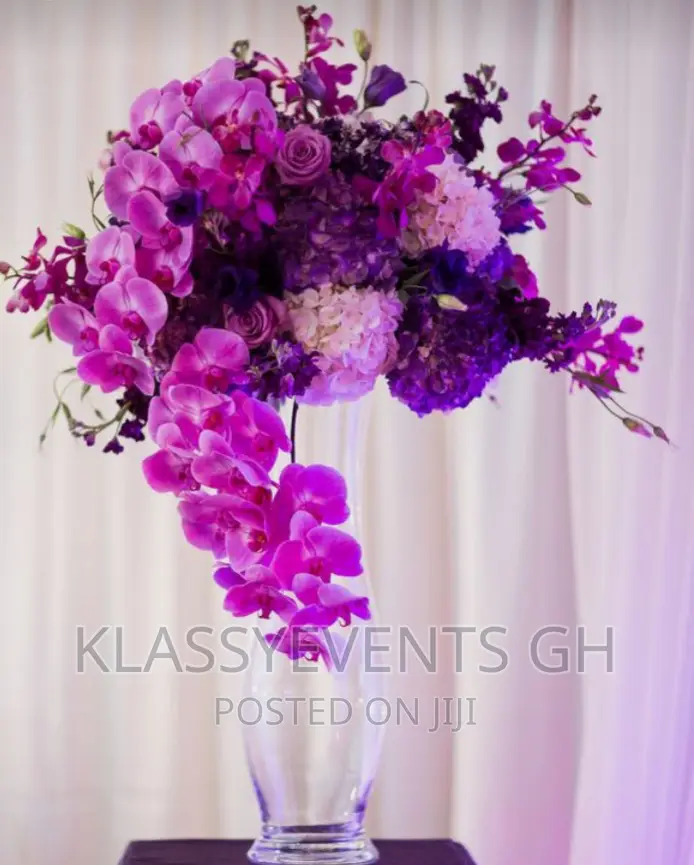 Chairs and Canopy Rental