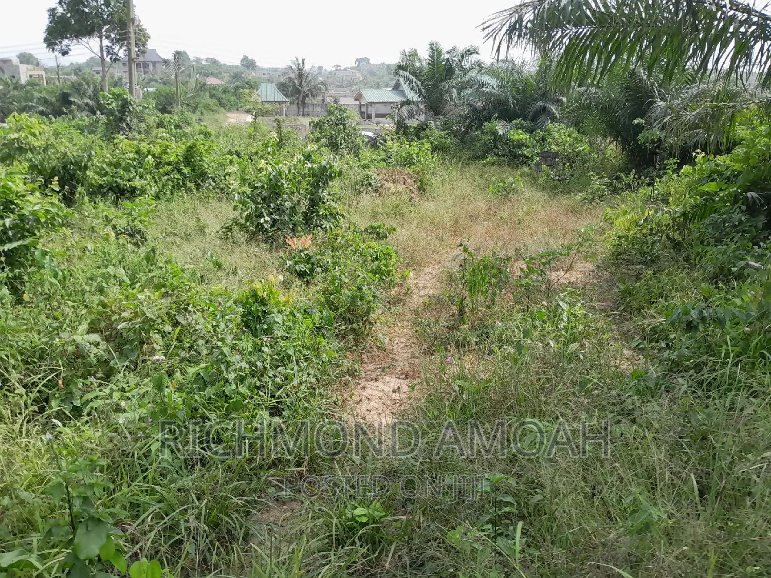 Plot for Sale at Diabane Teacher's
