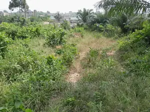 Plot for Sale at Diabane Teacher's