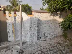 Experts In Damp Walls Repair