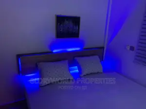 Newly Furnished 2 Bedroom Apartment at Spintex