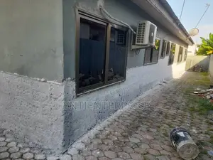 Dampness and Salty Walls Repair