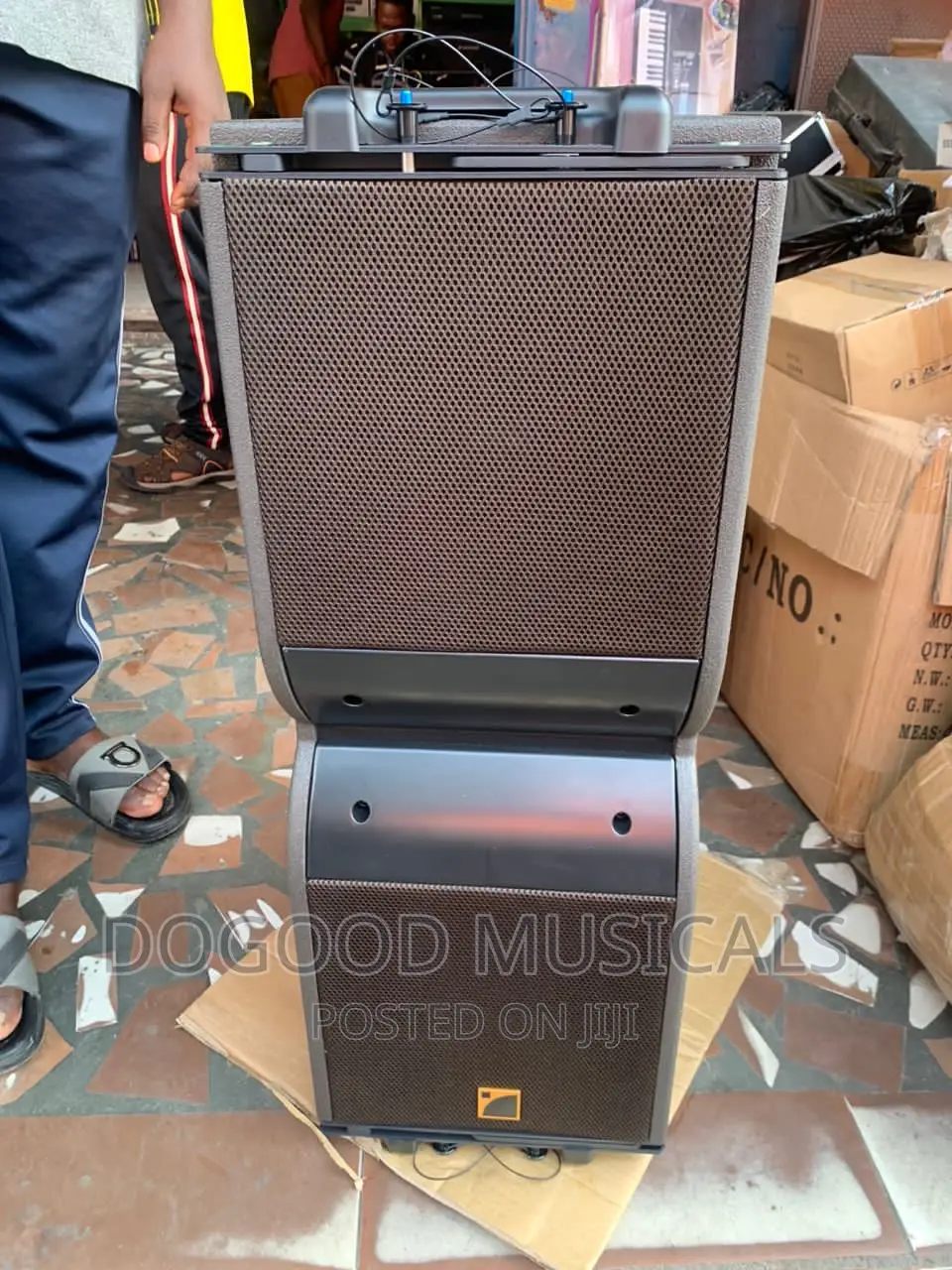 Kara Lt-210 10inch Line Array Speaker