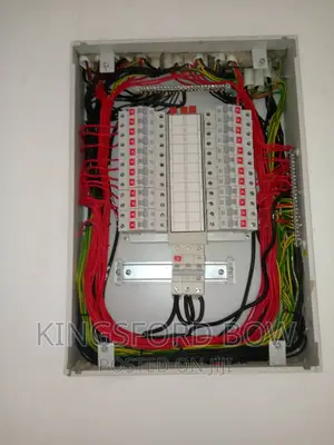 Professional Electrician
