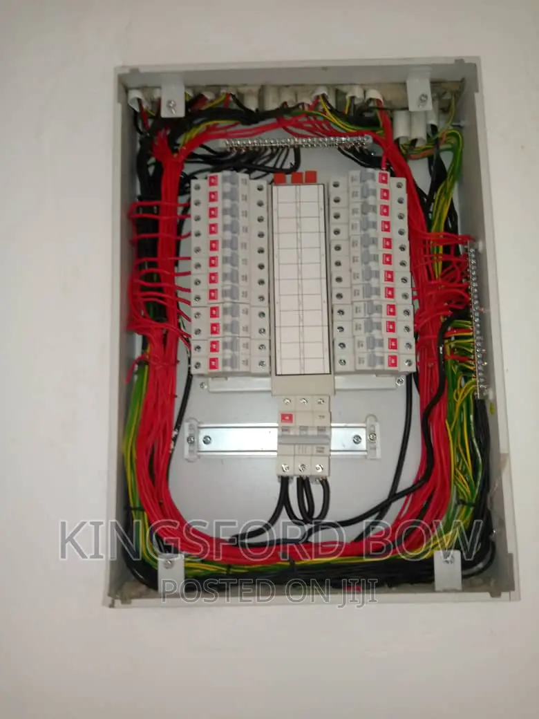 Professional Electrician
