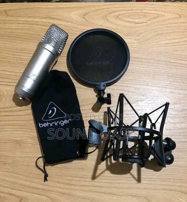 TM1 Complete Recording Large Diaphragm Condenser Microphone