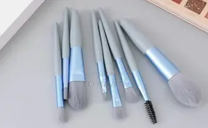 Makeup Brush (8pcs)