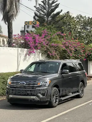 Ford Expedition Limited 4x4 2020 Gray
