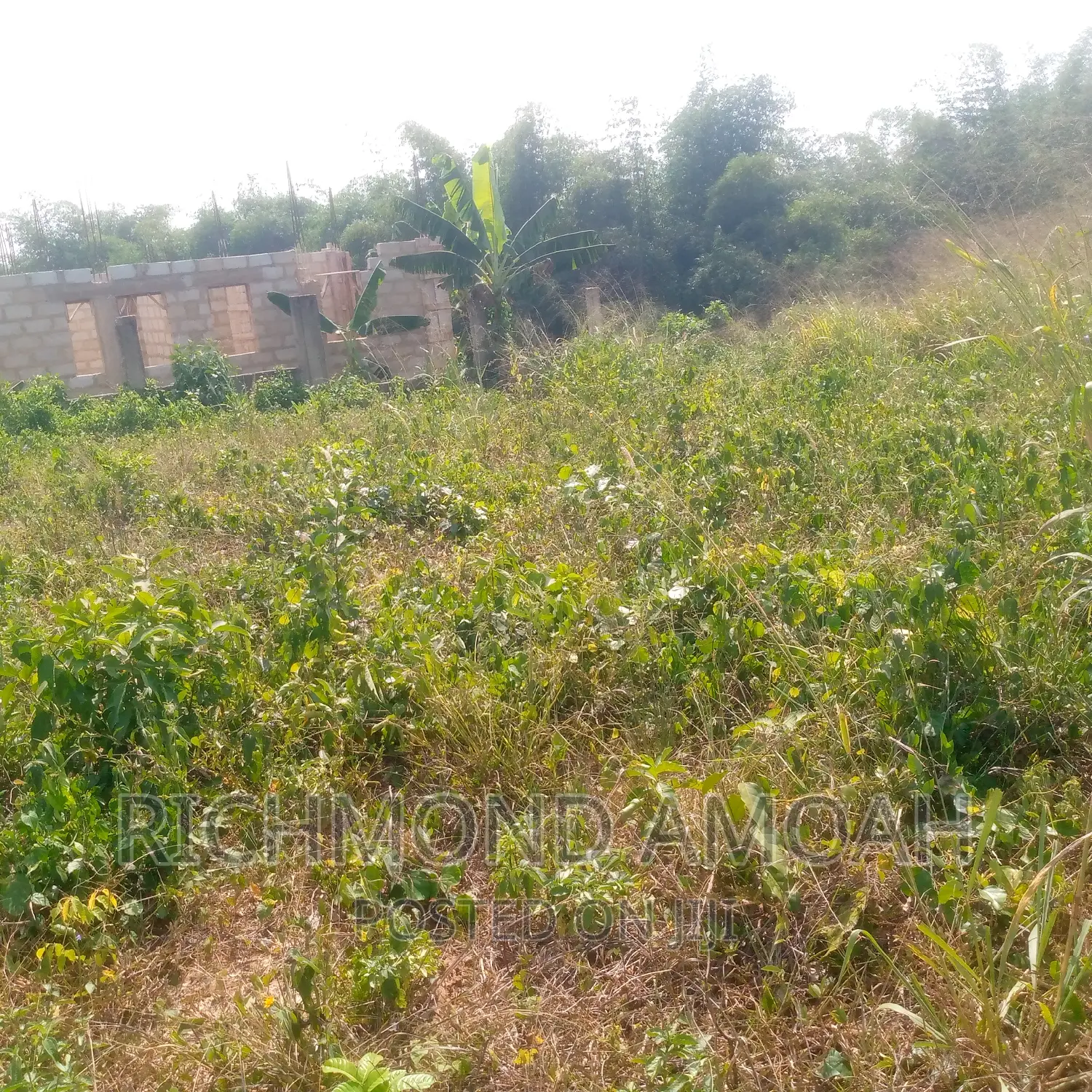 Plot for Sale at Queen of Peace Inside