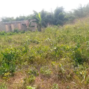 Plot for Sale at Queen of Peace Inside