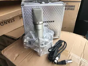 Condenser Microphone Sennheiser SN303