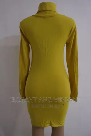 Beautiful Long Neck Cardigan Tube Dress