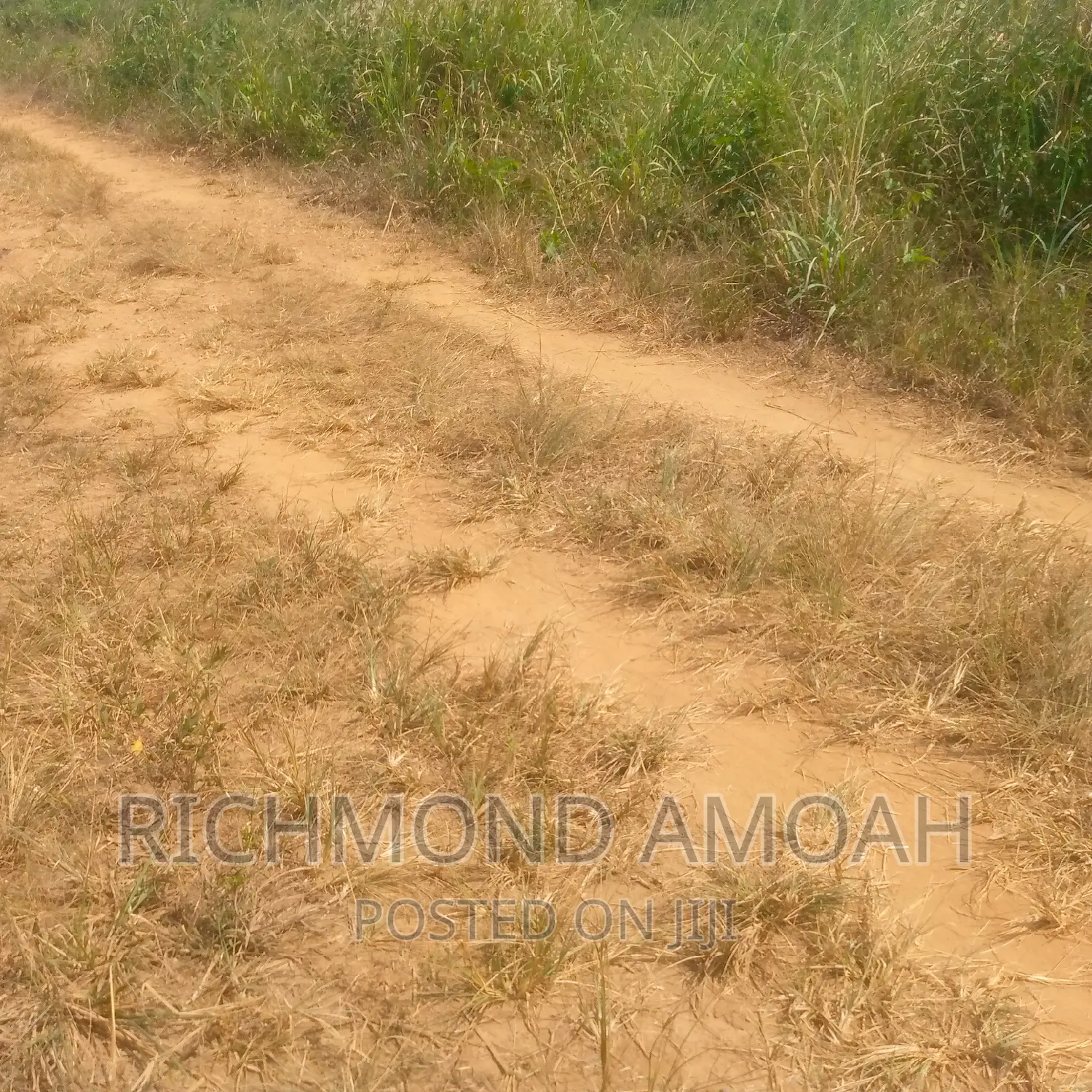 Plot for Sale at Mpintsin