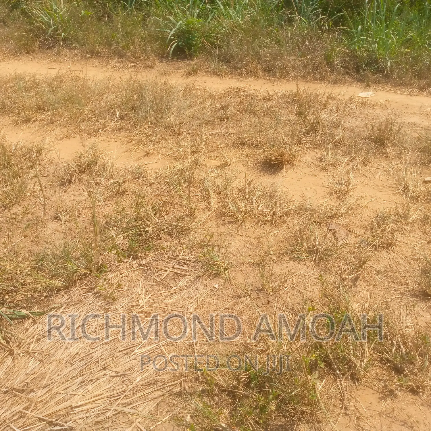 Plot for Sale at Mpintsin