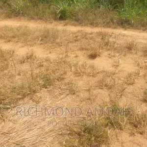 Plot for Sale at Mpintsin