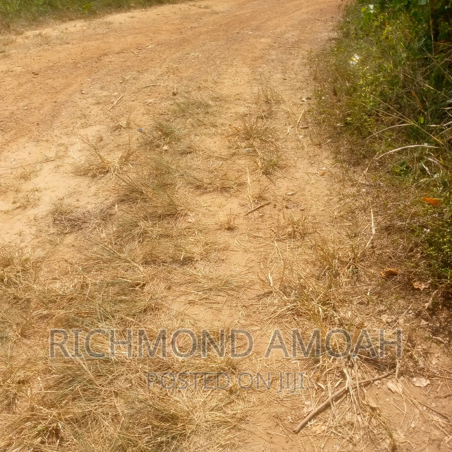 Plot for Sale at Mpintsin
