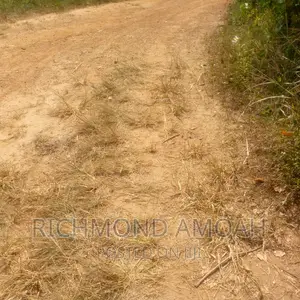 Plot for Sale at Mpintsin