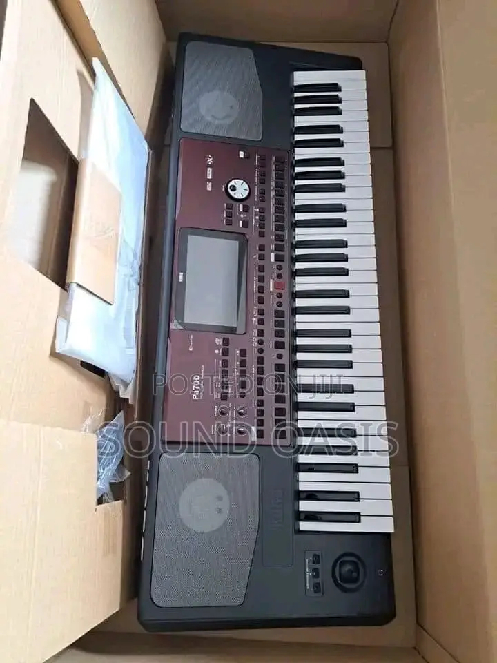 Korg PA 700 61-Key Arranger Keyboard